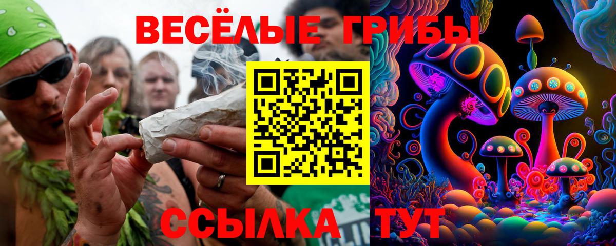 Псилоцибиновые грибы MAGIC MUSHROOMS Елабуга