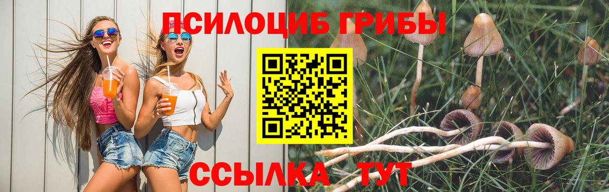 сколько стоит  Галлюциногенные грибы прущие грибы  Вход с VPN  Елабуга  Галлюциногенные грибы MAGIC MUSHROOMS 